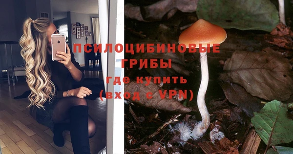 стафф Баксан