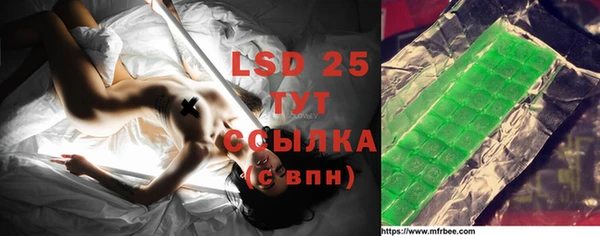 стафф Баксан