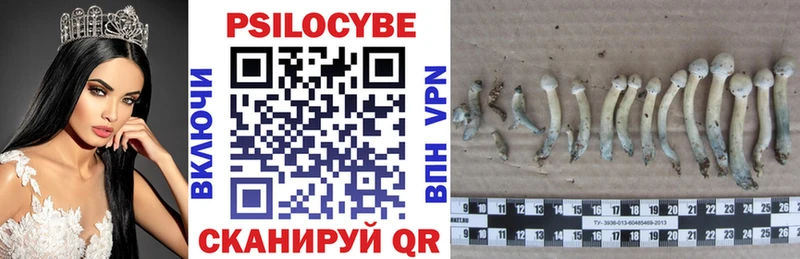 Псилоцибиновые грибы ЛСД Суворов