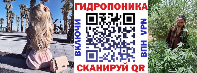 Канабис план  Суворов 